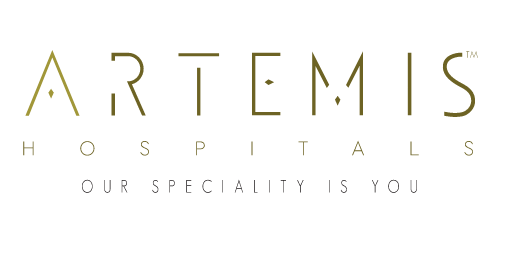 Artemis.png